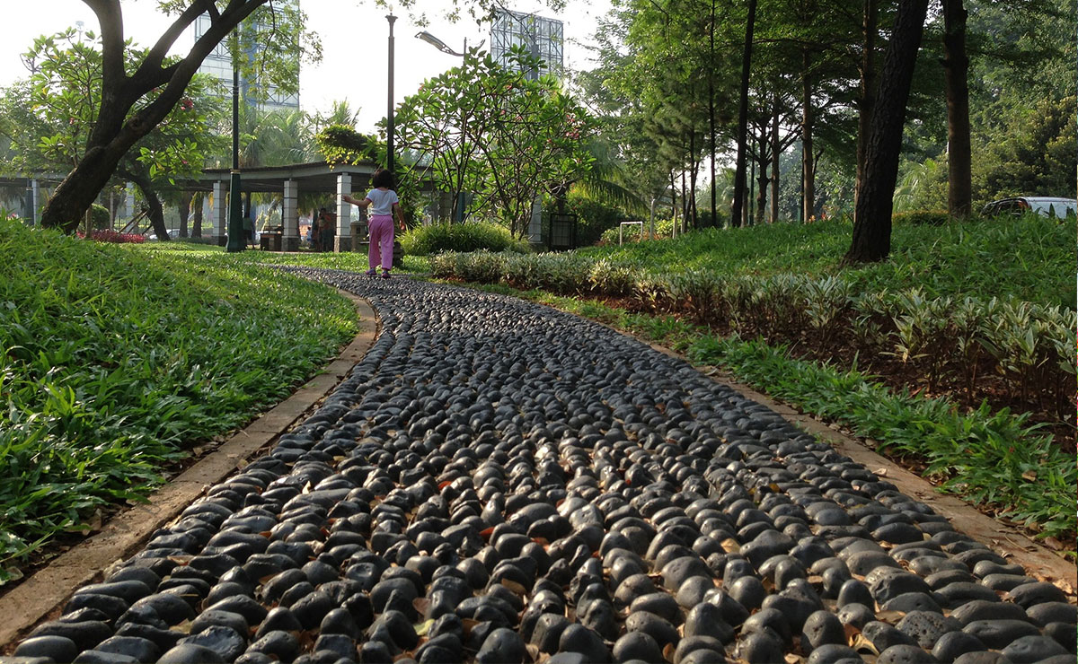 城市道路绿化规划与设计规范